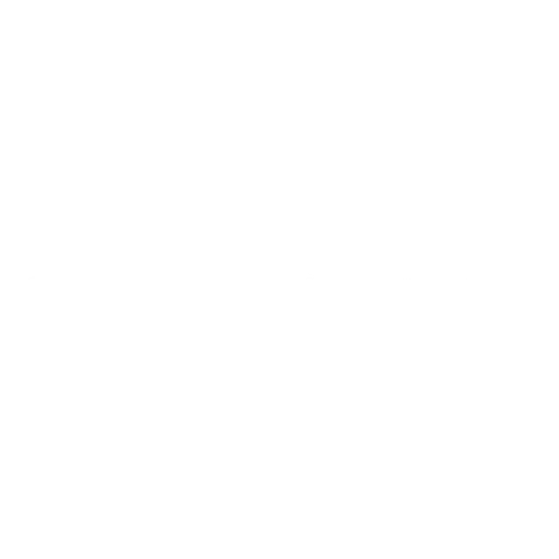 The Castle